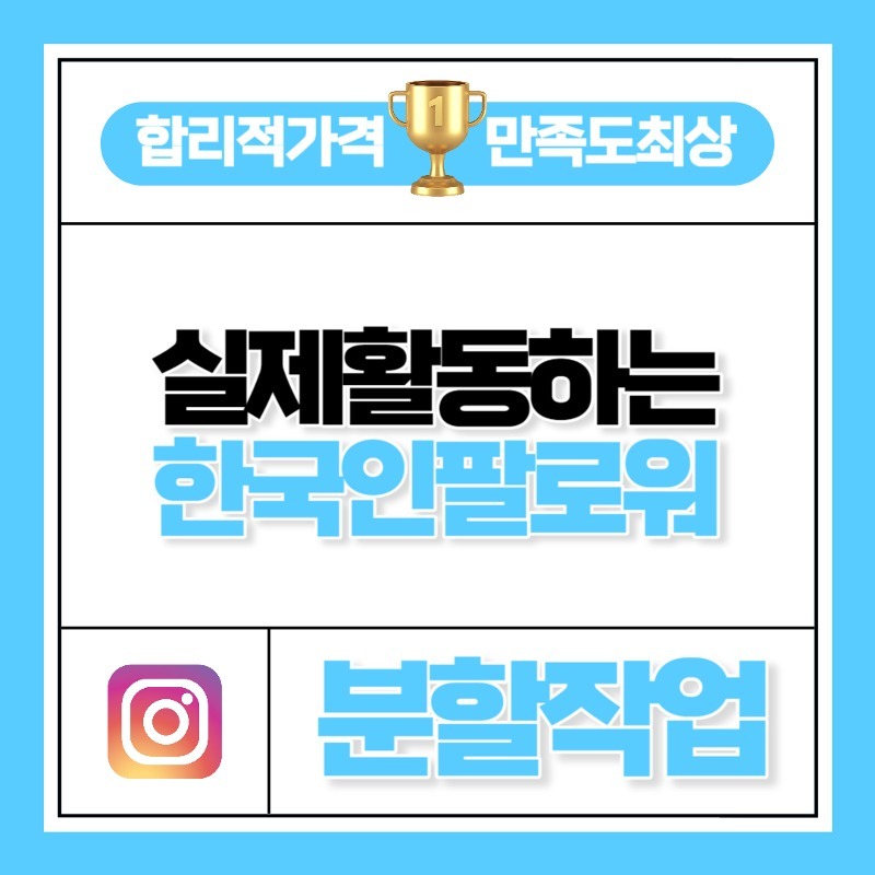 실제 활동하는 한국인 팔로워 [분할작업]